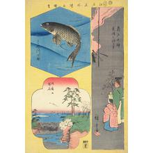 Utagawa Hiroshige: Carp in the Tone River, Cherry Trees in Full Bloom on Goten Hill, and Creation of the First Medicine Sold at Kameido Tenjin Shrine, from the series Harimaze of Pictures of Famous Places in Edo - University of Wisconsin-Madison