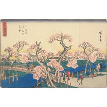 Utagawa Hiroshige: Cherry Trees in Full Bloom on the Koganei Embankment, from the series Famous Places in Snow, Moon, and Flowers - University of Wisconsin-Madison
