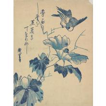 Utagawa Hiroshige: Sparrow and Hibiscus - University of Wisconsin-Madison
