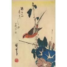 Utagawa Hiroshige: Bull-headed Shrike and Morning Glories - University of Wisconsin-Madison
