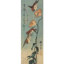 Utagawa Hiroshige: Sparrows and Poppies - University of Wisconsin-Madison