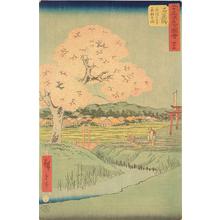 Utagawa Hiroshige: Yoshitsune's Cherry Tree and the Shrine to Noriyori at Ishiyakushi, no. 45 from the series Pictures of the Famous Places on the Fifty-three Stations (Vertical Tokaido) - University of Wisconsin-Madison