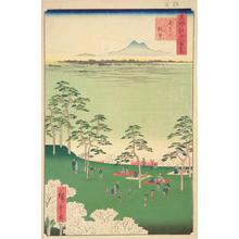歌川広重: View to the North from Mt. Asuka, no. 17 from the series One-hundred Views of Famous Places in Edo - ウィスコンシン大学マディソン校