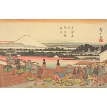 Utagawa Hiroshige: Fish Market at Nihon Bridge, from the series Famous Places in the Eastern Capital - University of Wisconsin-Madison