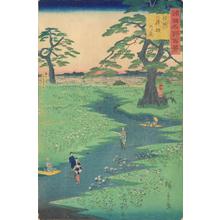 Utagawa Hiroshige II: Kikyo Plain in Shinano Province, from the series One-hundred Views of Famous Places in the Provinces - University of Wisconsin-Madison