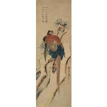 Japanischer Druck "Common Pheasant on Snowy Pine Branch" von Utagawa Hiroshige, 歌川広重 (Utagawa Hiroshige)