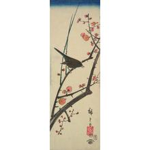 Utagawa Hiroshige: Bush Warbler on a Plum Branch, from a series of Bird and Flower Subjects - University of Wisconsin-Madison