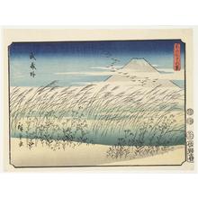 Utagawa Hiroshige: The Musashi Plain, no. 35 from the series Thirty-six Views of Mt. Fuji - University of Wisconsin-Madison