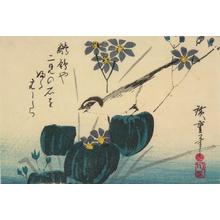 歌川広重: Wagtail and Blue Flowers, from a series of Bird and Flower Subjects - ウィスコンシン大学マディソン校