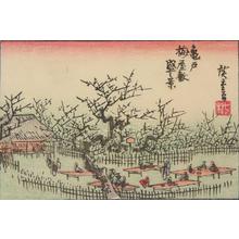 Utagawa Hiroshige: The Plum Grove at Kameido in Full Bloom in Edo, from a series of Views of Edo, Osaka, and Kyoto - University of Wisconsin-Madison