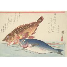 Utagawa Hiroshige: Kasago and Isaki with Ginger Roots, from a series of Fish Subjects - University of Wisconsin-Madison