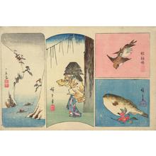 Utagawa Hiroshige: River in Snow, Woman Wearing a Kettle, Sparrows, and Blowfish and Camellia, from a series of Harimaze Prints - University of Wisconsin-Madison
