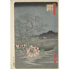 Utagawa Hiroshige: Fox Fires on New Year's Eve at the Shozoku Hackberry Tree in Oji, no. 118 from the series One-hundred Views of Famous Places in Edo - University of Wisconsin-Madison