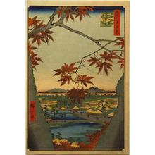 Utagawa Hiroshige: Maple Leaves at Mama, the Tekona Shrine, and Tsugi Bridge, no. 94 from the series One-hundred Views of Famous Places in Edo - University of Wisconsin-Madison