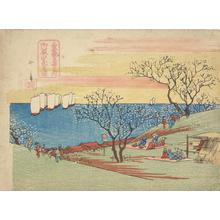 Utagawa Hiroshige: Flower Viewing at Goten Hill, from the series Famous Places in Edo - University of Wisconsin-Madison