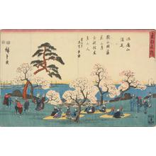 Utagawa Hiroshige: Cherry Trees in Full Bloom at Goten Hill, from the series Famous Places in the Eastern Capital - University of Wisconsin-Madison