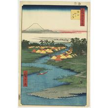 Utagawa Hiroshige: Horie and Nekozane, no. 96 from the series One-hundred Views of Famous Places in Edo - University of Wisconsin-Madison