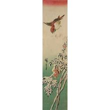 Utagawa Hiroshige: Sparrow and Nandina in Snow - University of Wisconsin-Madison