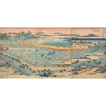 Utagawa Hiroshige: View of Asuka Hill, from the series Famous Places in the Eastern Capital - University of Wisconsin-Madison