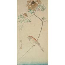 Utagawa Hiroshige: Sparrow and Rose, from a series of Bird and Flower Subjects - University of Wisconsin-Madison