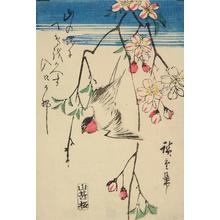Utagawa Hiroshige: Swallow and Cherry Blossoms - University of Wisconsin-Madison