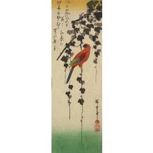 Utagawa Hiroshige: Parrot on an Ivy Branch - University of Wisconsin-Madison