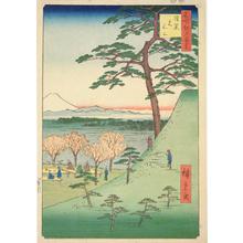 歌川広重: The Original Mt. Fuji in Meguro, no. 25 from the series One-hundred Views of Famous Places in Edo - ウィスコンシン大学マディソン校