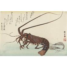 Utagawa Hiroshige: Two Shrimp and Lobster, from a series of Fish Subjects - University of Wisconsin-Madison