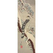 Utagawa Hiroshige: Goshawk on a Pine in the Snow - University of Wisconsin-Madison