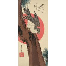 Utagawa Hiroshige: Goshawk, Pine Tree, and Rising Sun - University of Wisconsin-Madison