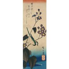 Utagawa Hiroshige: Wagtail and Kikyo Flowers - University of Wisconsin-Madison