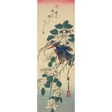 Utagawa Hiroshige: Kingfisher and Flowering Plant - University of Wisconsin-Madison