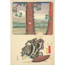 Unknown: The Priest Saigyo viewing Mt. Fuji from Yoshiwara, no. 15 from the series Fifty-three Stations by Two Brushes - University of Wisconsin-Madison
