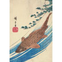 Utagawa Hiroshige: Carp and Waterweeds - University of Wisconsin-Madison