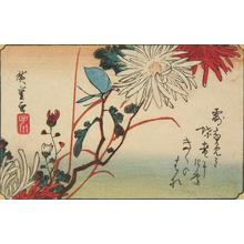 Utagawa Hiroshige: Butterfly and Chrysanthemums, from a series of Bird and Flower Subjects - University of Wisconsin-Madison