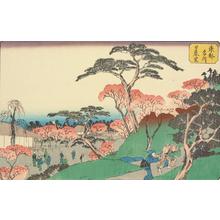 Utagawa Hiroshige: Nippori Village, from the series Famous Places in the Eastern Capital - University of Wisconsin-Madison