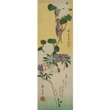 Utagawa Hiroshige: Parrot and Hydrangeas, Sparrow and Clematis, from a series of Bird and Flower Subjects - University of Wisconsin-Madison