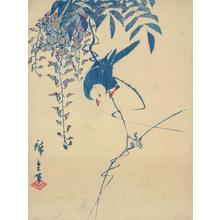 Utagawa Hiroshige: Bulbul on Wisteria - University of Wisconsin-Madison