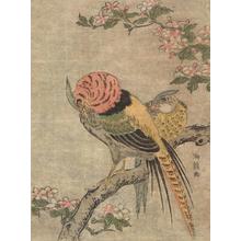 磯田湖龍齋: Copper Pheasants on Cherry Tree - ウィスコンシン大学マディソン校