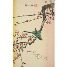 Utagawa Hiroshige: Warbler on a Plum Branch, from a series of Bird and Flower Subjects - University of Wisconsin-Madison