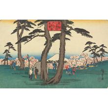 Utagawa Hiroshige: Cherry Trees in Full Bloom at Asuka Hill, from the series Famous Places in the Eastern Capital - University of Wisconsin-Madison