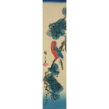 Utagawa Hiroshige: Parrot on a Pine Branch - University of Wisconsin-Madison