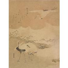 Suzuki Harunobu: Cranes by the Shore - University of Wisconsin-Madison