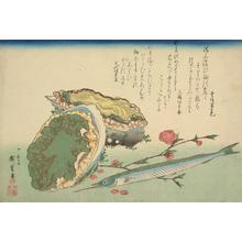 Utagawa Hiroshige: Abalone, Sayori, and Peach Blossom, from a series of Fish Subjects - University of Wisconsin-Madison