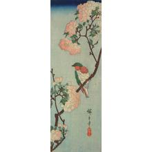 Utagawa Hiroshige: Bird on a Cherry Branch - University of Wisconsin-Madison