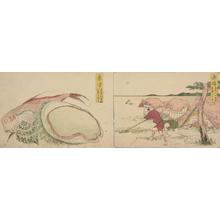Katsushika Hokusai: Fish, Abalone, and Turban Shells at Okitsu: 1.83 Ri to Ejiri, no.19 from a series of Stations of the Tokaido - University of Wisconsin-Madison