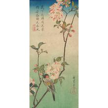 Utagawa Hiroshige: Bullfinch in a Flowering Cherry Tree - University of Wisconsin-Madison