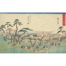 Utagawa Hiroshige: Flower Viewing at Asuka Hill, from the series Famous Places in the Eastern Capital - University of Wisconsin-Madison