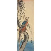 Utagawa Hiroshige: Copper Pheasant on Willow - University of Wisconsin-Madison