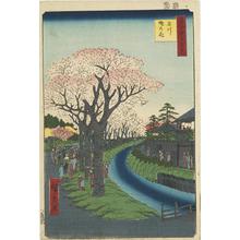 歌川広重: Cherry Trees in Bloom along the Tama River Embankment, no. 42 from the series One-hundred Views of Famous Places in Edo - ウィスコンシン大学マディソン校
